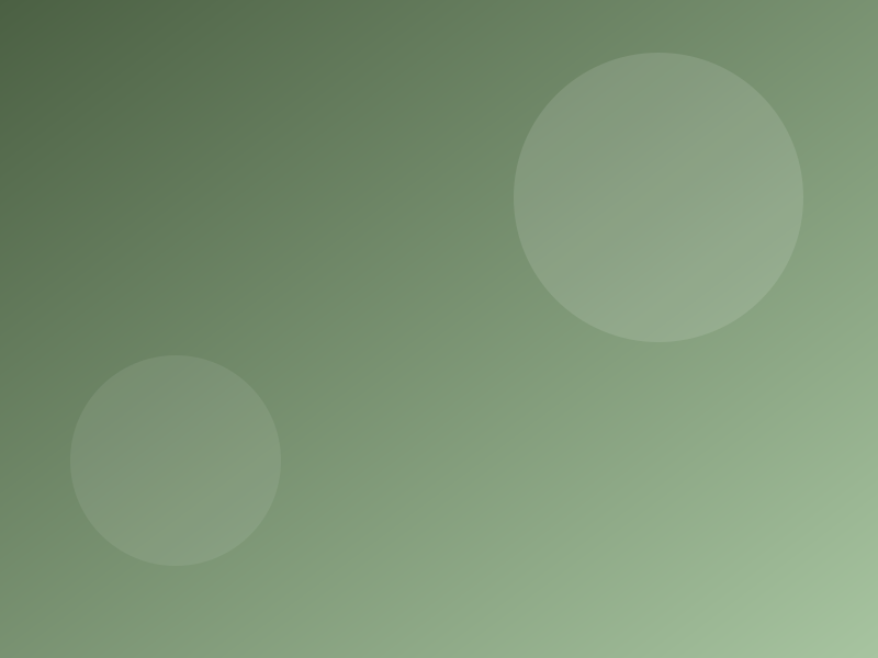 Placeholder 3